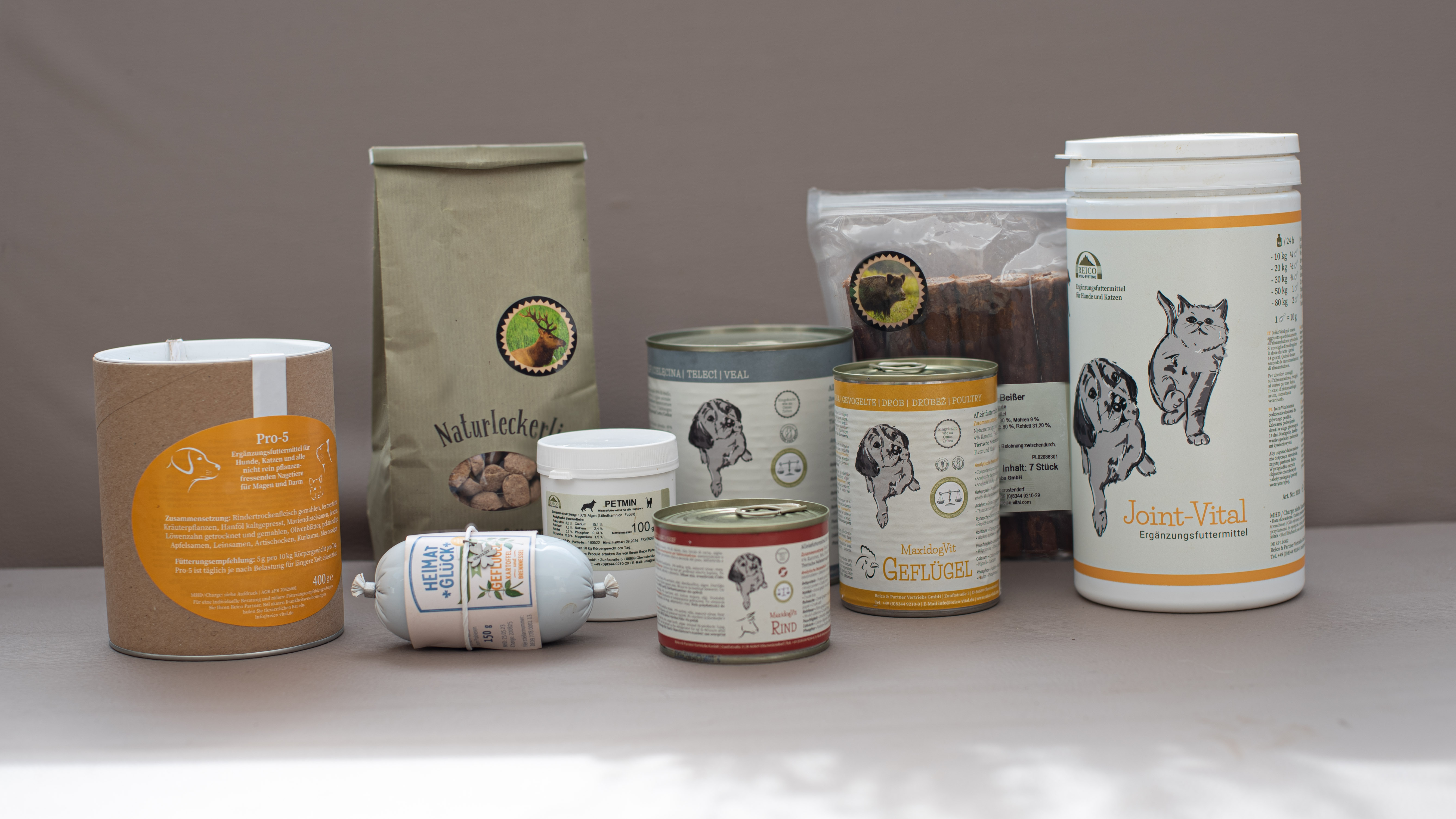 Reico - Vital - Hund im Leben